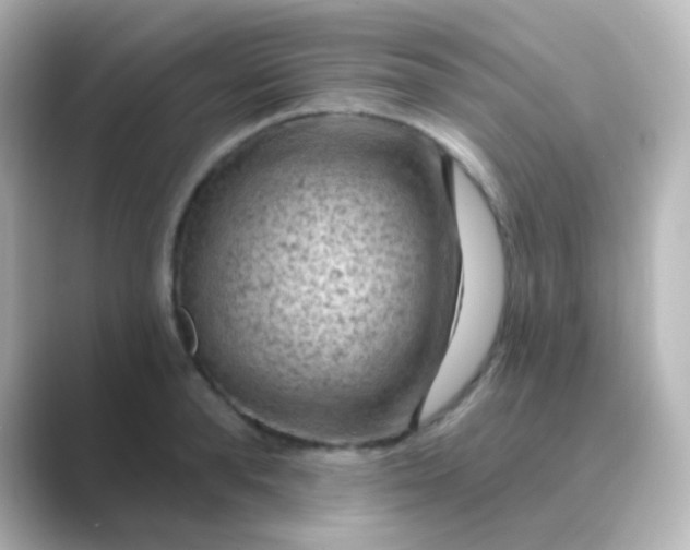 X0000088830896200706211813