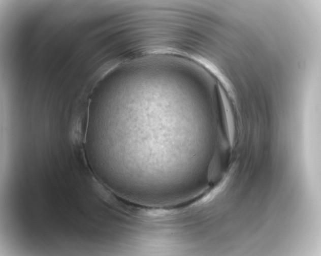 X0000088830897200706211813