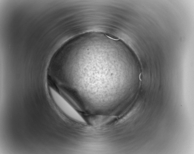 X0000088830898200706211813