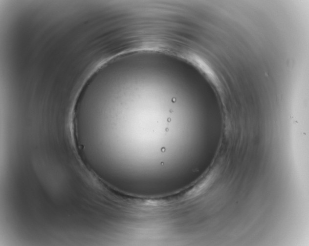 X0000088830899200706211812