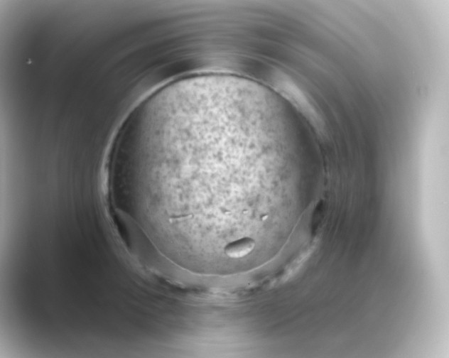 X0000088830900200706211812