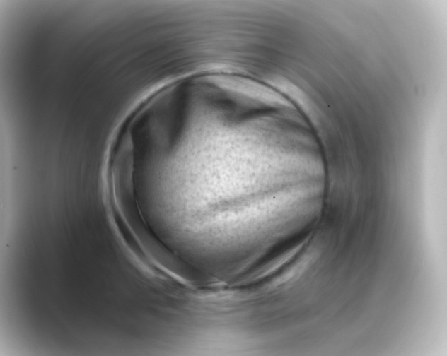 X0000088830902200706211812