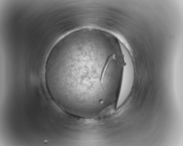 X0000088830903200706211812