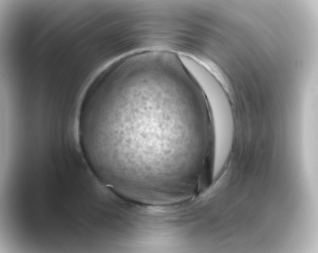 X0000088830904200706211812