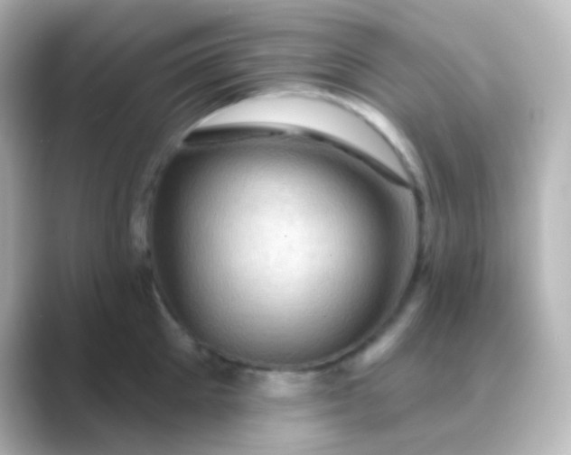 X0000088830905200706211812