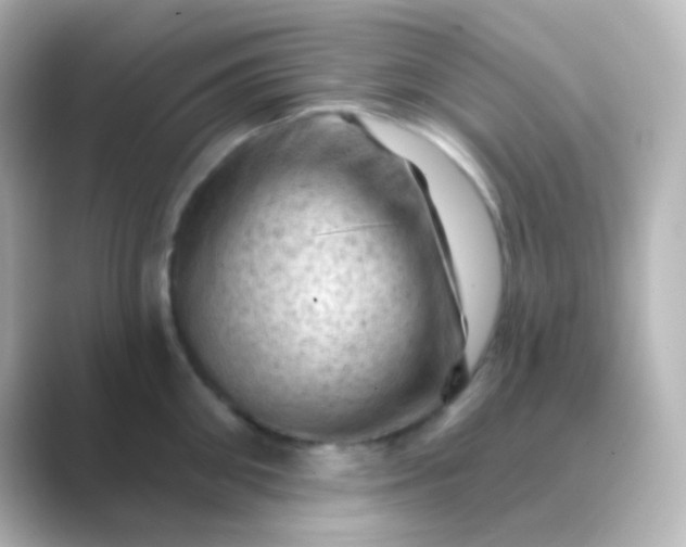 X0000088830906200706211812