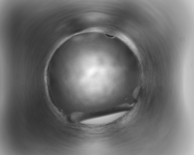 X0000088830907200706211812