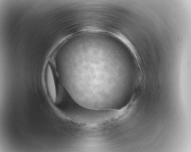 X0000088830909200706211812