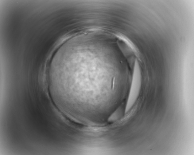 X0000088830910200706211812