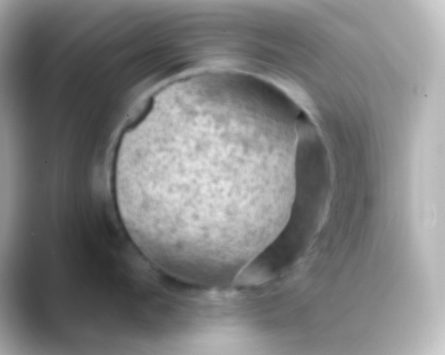 X0000088830912200706211812