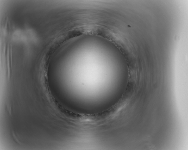 X0000088830913200706211812