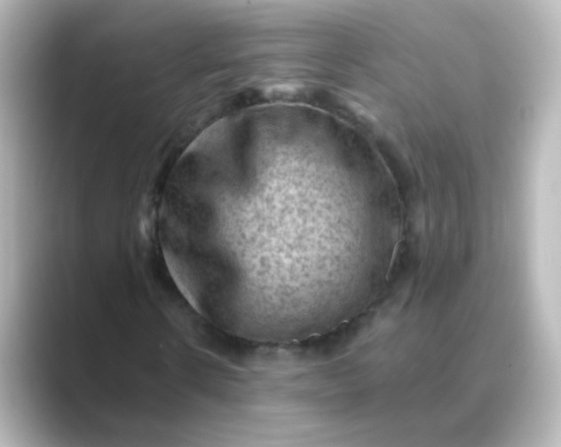 X0000088830914200706211812