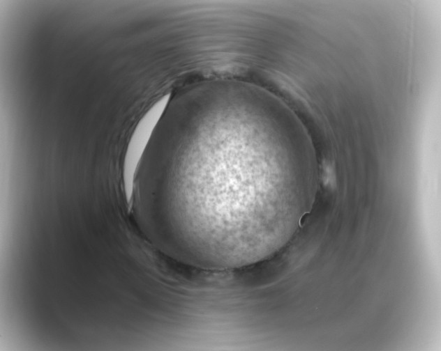 X0000088830915200706211812