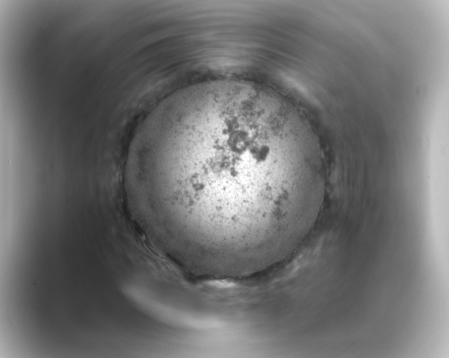 X0000088830917200706211812