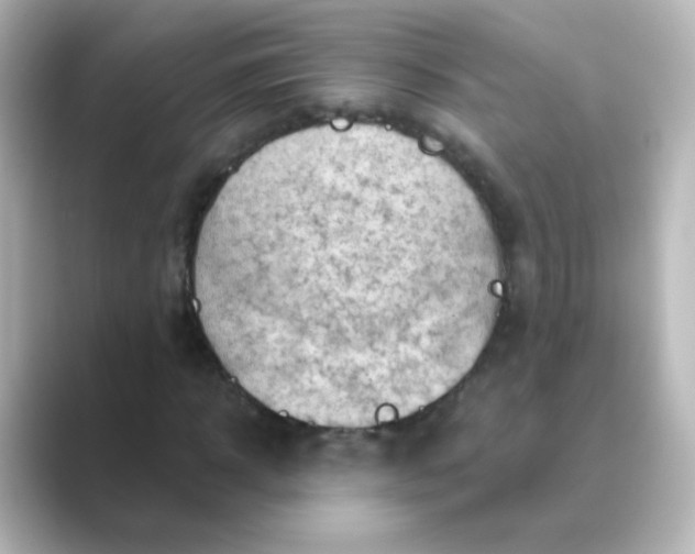 X0000088830918200706211812