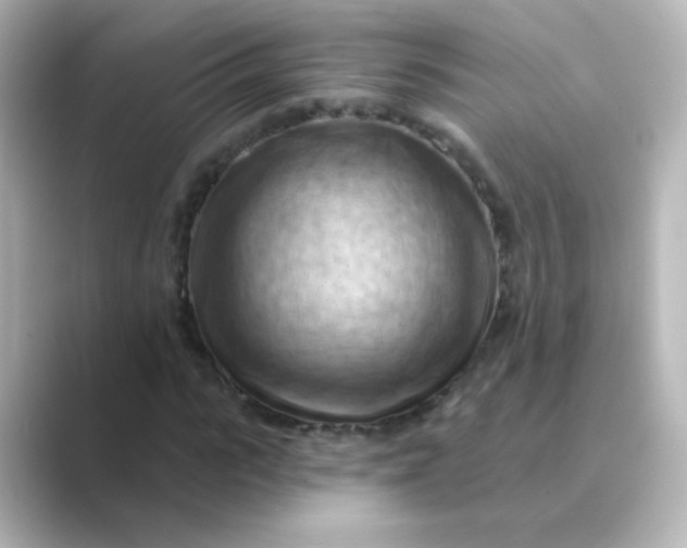 X0000088830919200706211812