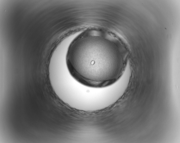 X0000088830920200706211812