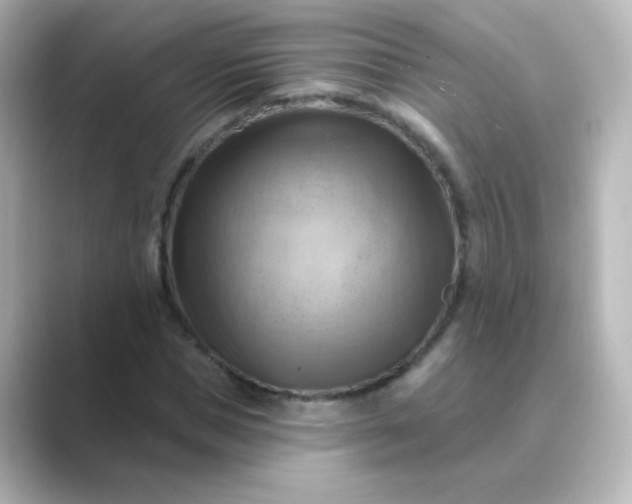 X0000088830921200706211812