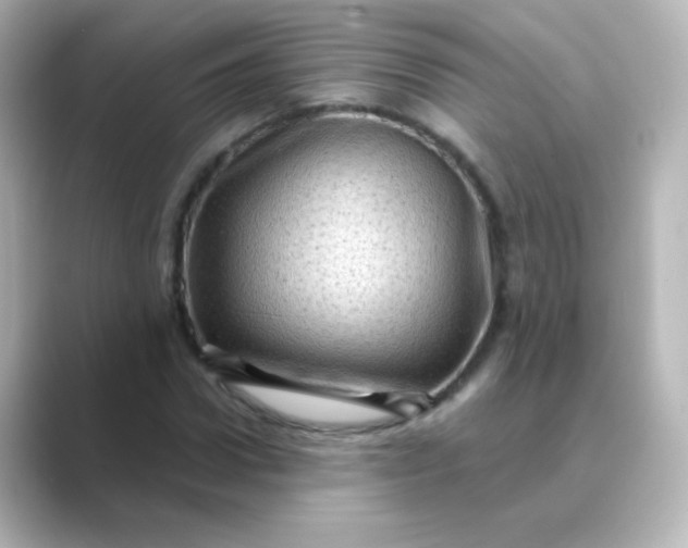 X0000088830922200706211812