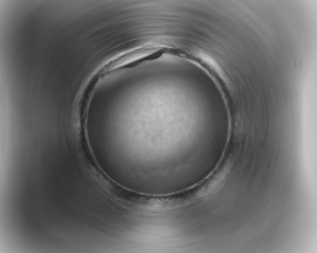 X0000088830923200706211812