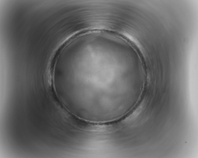 X0000088830925200706211812