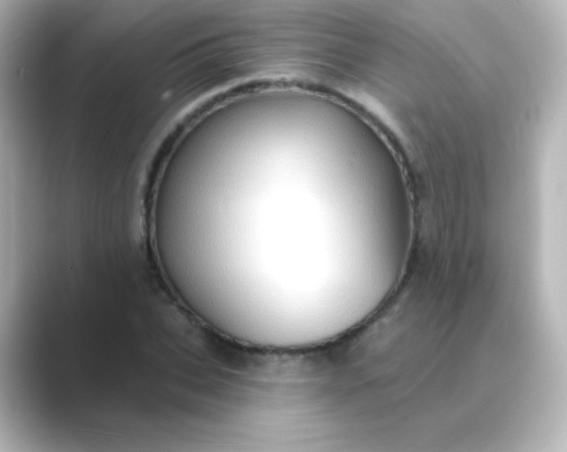 X0000088830927200706211812