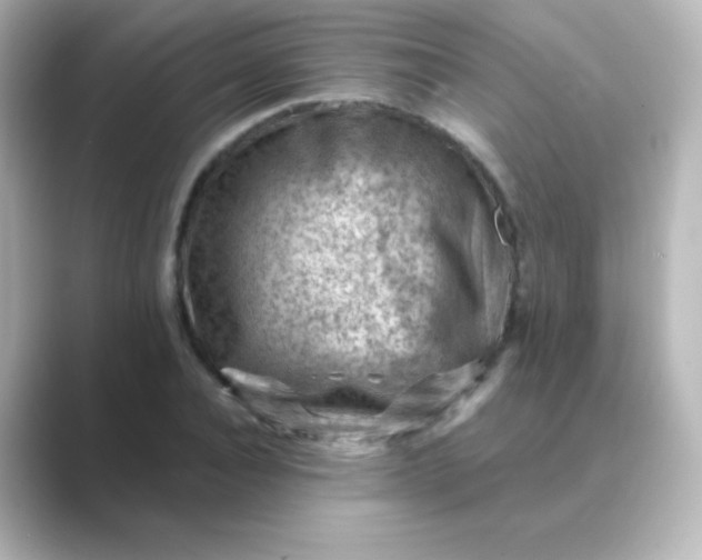 X0000088830928200706211812