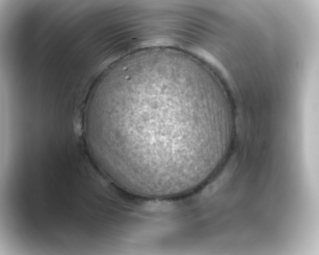 X0000088830929200706211812