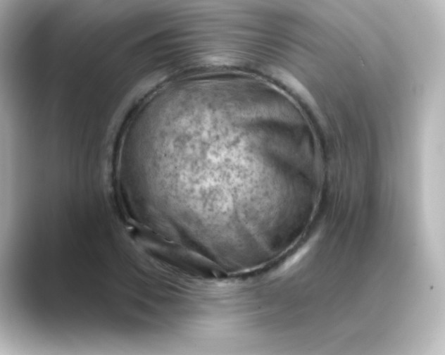 X0000088830930200706211812