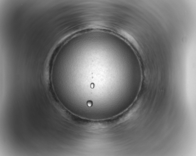 X0000088830931200706211812