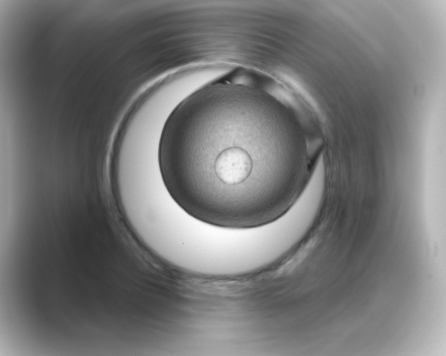 X0000088830932200706211812