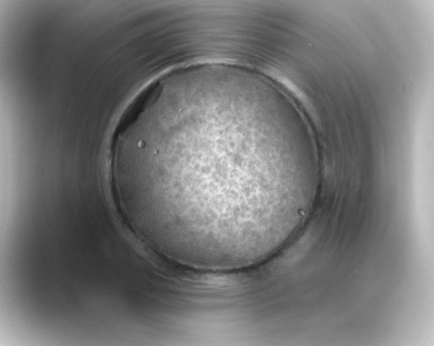 X0000088830933200706211812