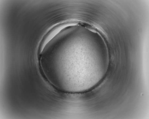 X0000088830934200706211812