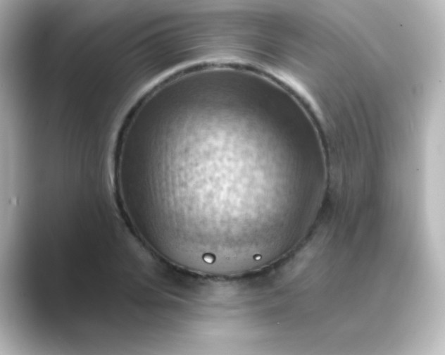 X0000088830935200706211812