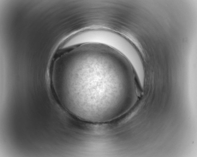 X0000088830936200706211812