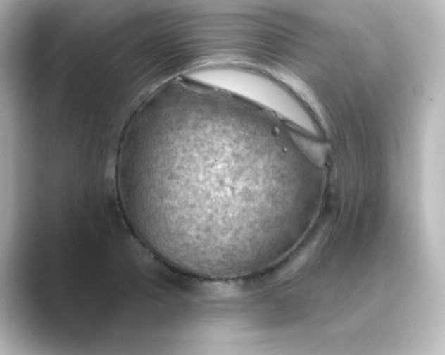 X0000088830937200706211812