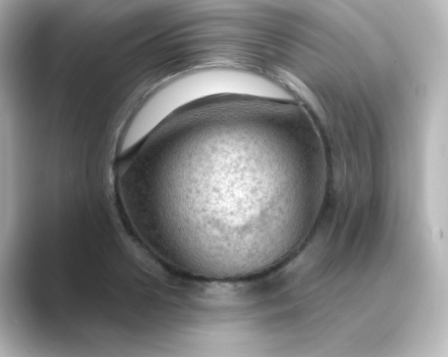 X0000088830938200706211812