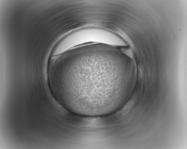 X0000088830939200706211812