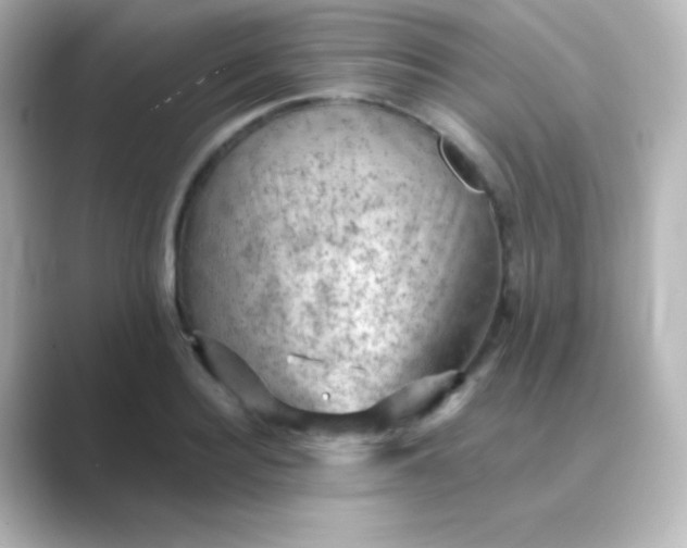 X0000088830940200706211812