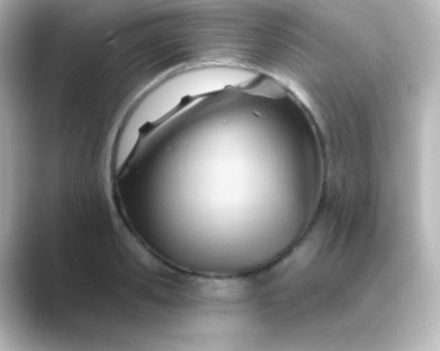 X0000088830941200706211812