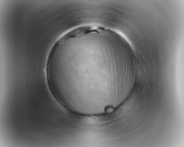 X0000088830943200706211812