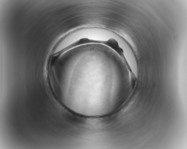 X0000088830944200706211812