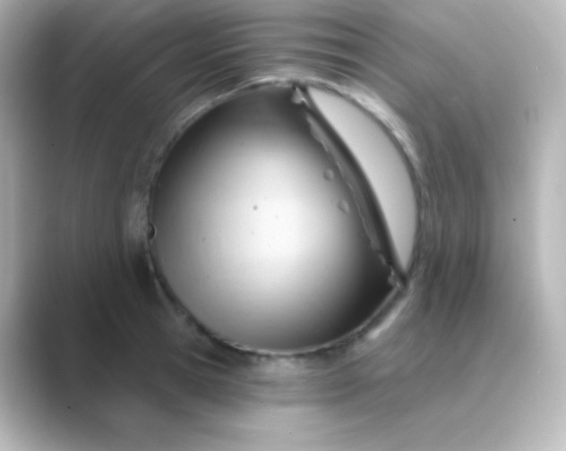 X0000088830945200706211812