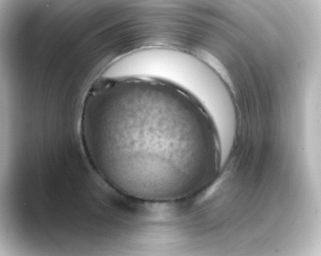 X0000088830946200706211812