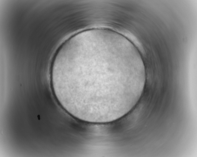 X0000088830950200706211812