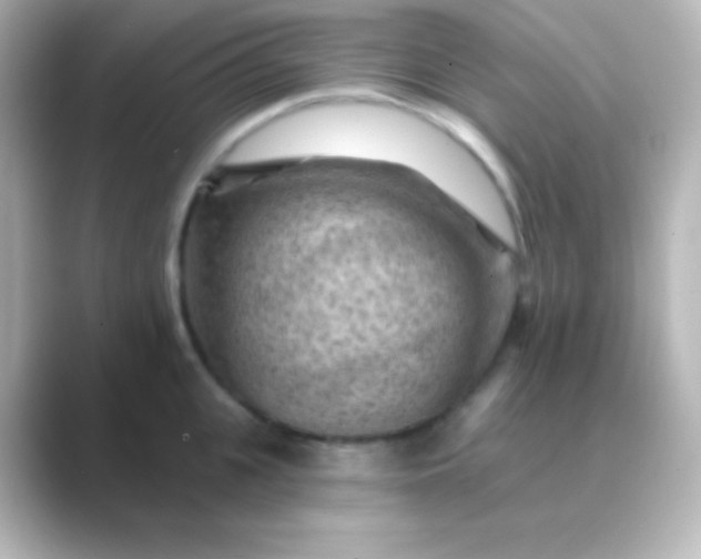 X0000088830951200706211812