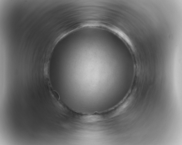 X0000088830953200706211812