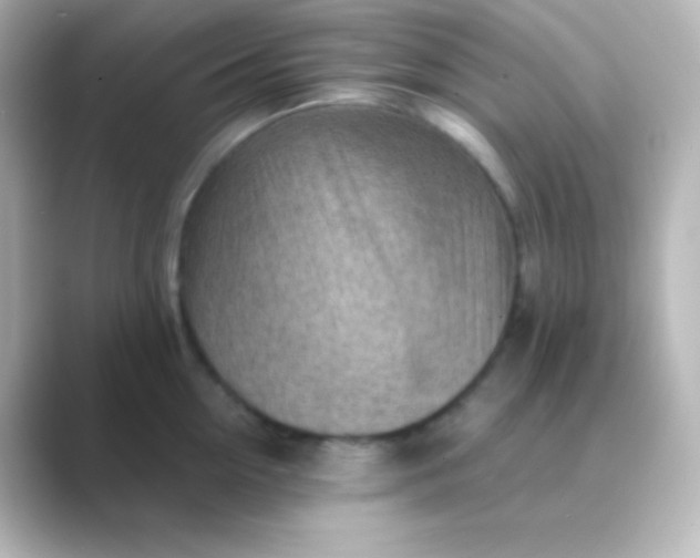 X0000088830954200706211812