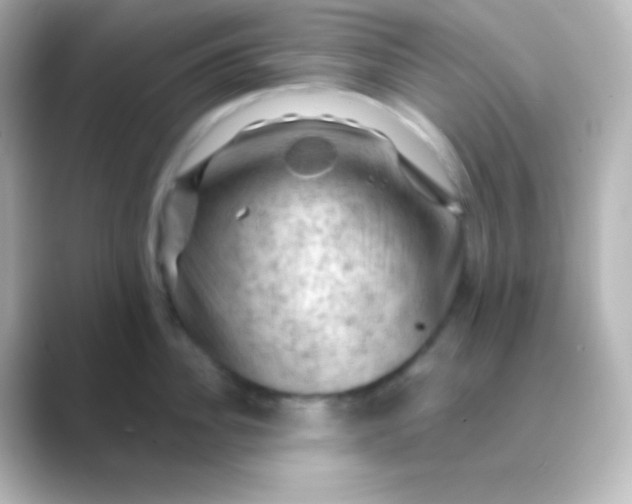 X0000088830956200706211812