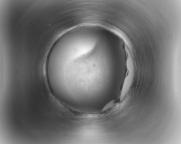 X0000088830958200706211812